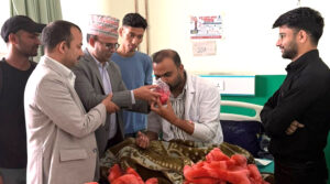अनसनरत इन्टर्न डाक्टरसँग सरकारले गर्‍यो ३ बुँदे सहमति